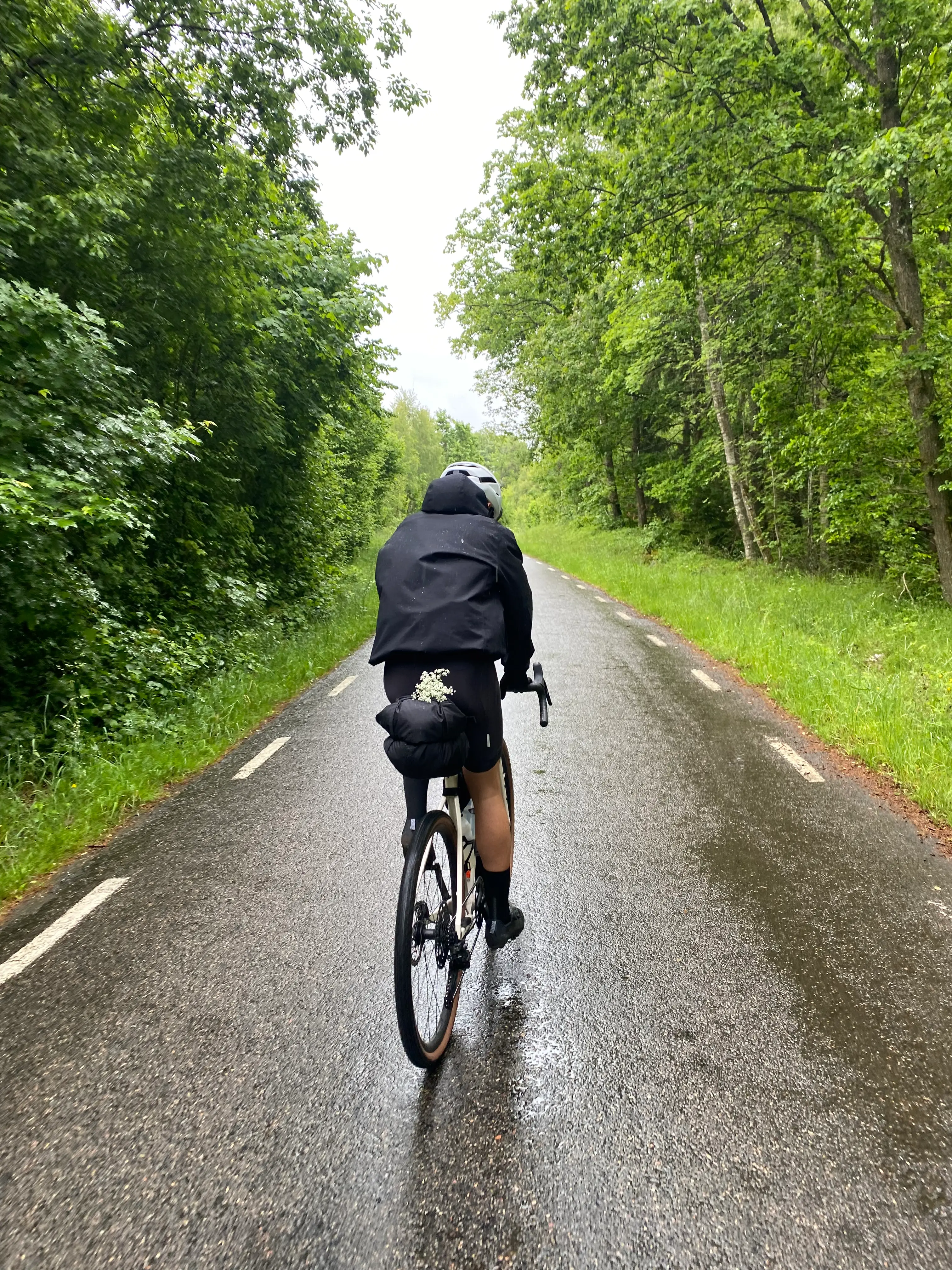 Rainy day, flowers on the back